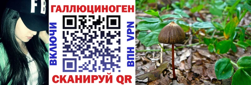 Псилоцибиновые грибы MAGIC MUSHROOMS  закладка  Светогорск 