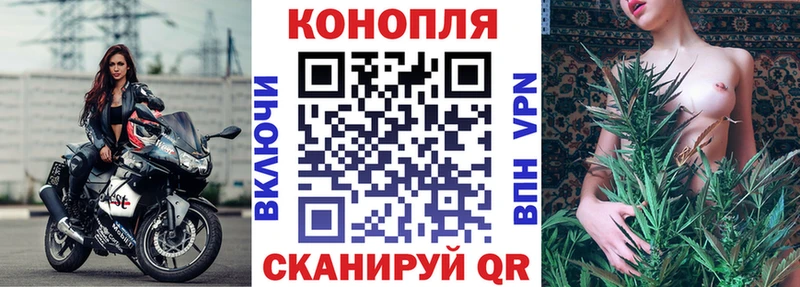 дарнет шоп кракен Конопля гибрид Светогорск